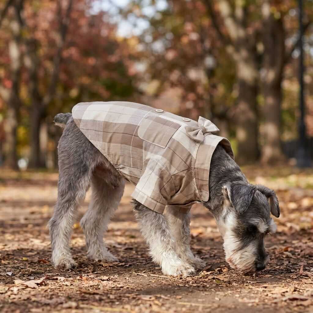Dog wearing a Plaid Bow Tie Stand Collar Shirt, stylish plaid print, breathable, lightweight, cozy, perfect for dogs & cats.
