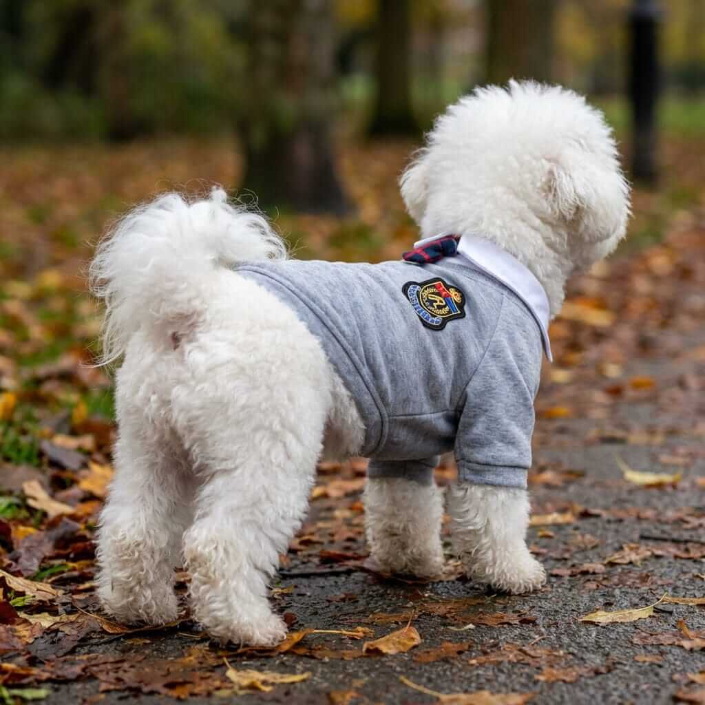 Plaid Dog Skirt Dress: Stylish dress for dogs, perfect for spring and summer outings by Dogs & Cats brand.