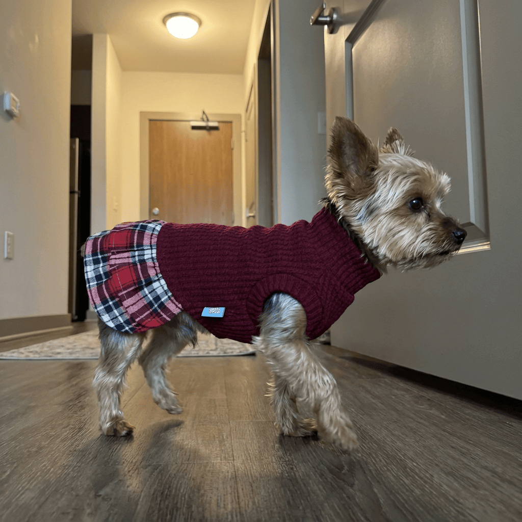 Plaid Skirt Princess Dog Dress on a small dog, featuring breathable soft fabric and plaid details for comfort and style.
