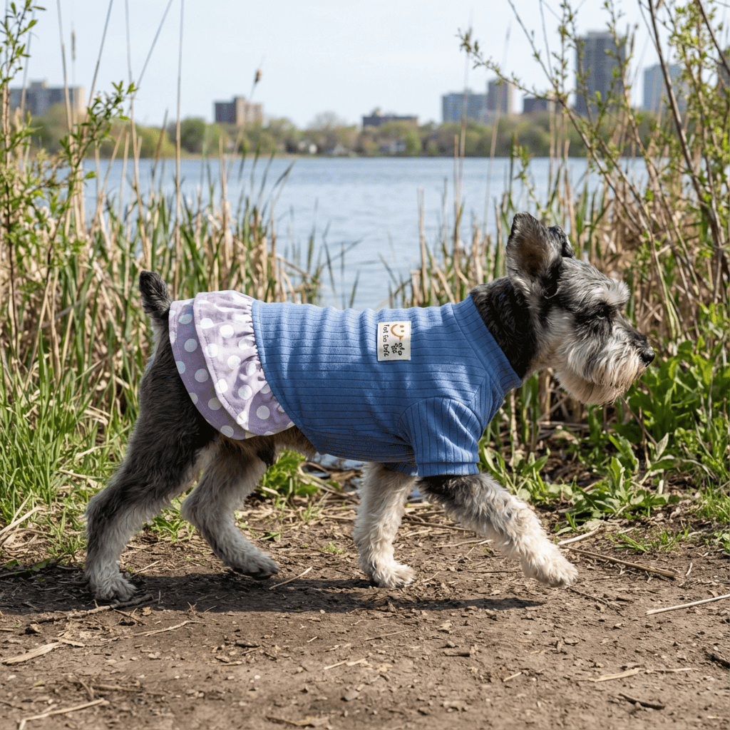 Dog wearing Polka Dot Sweater Pet Dress by Dogs & Cats, featuring cotton material and stylish short sleeves.