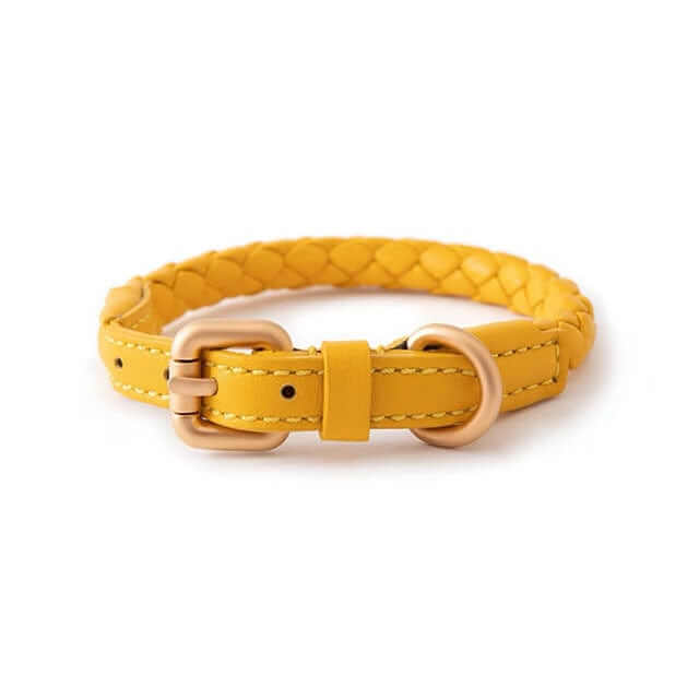 Premium Dog Collar and Leash Set - Yellow braided collar with rose gold buckle for medium & large dogs by Dogs & Cats.