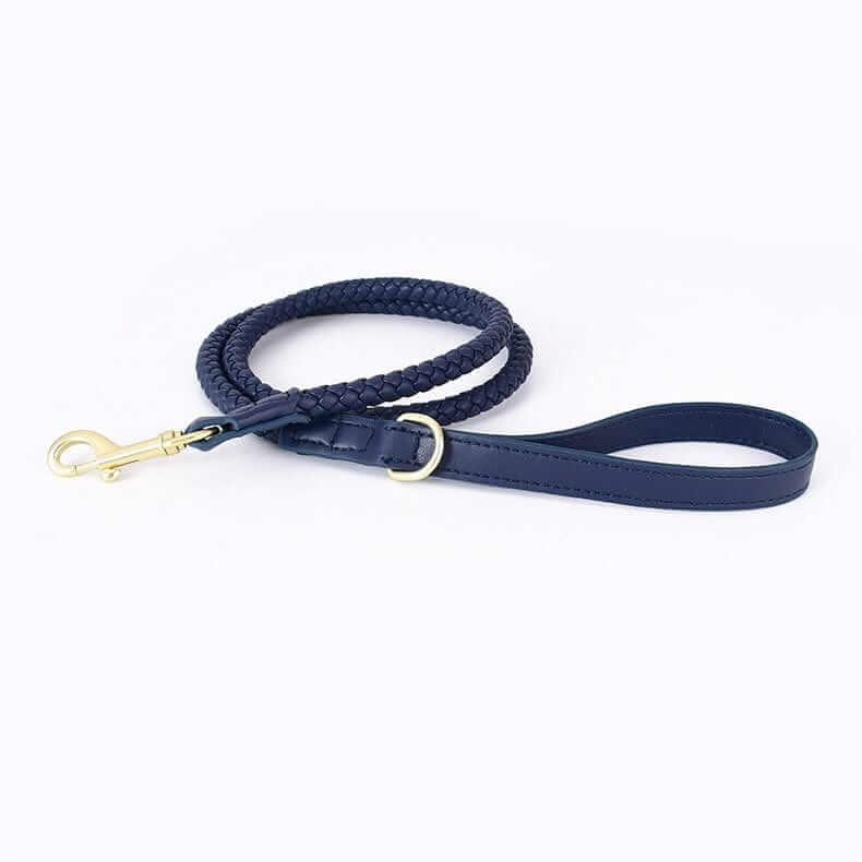 Premium Dog Collar and Leash Set features a stylish braided leash for medium and large dogs by Dogs & Cats.