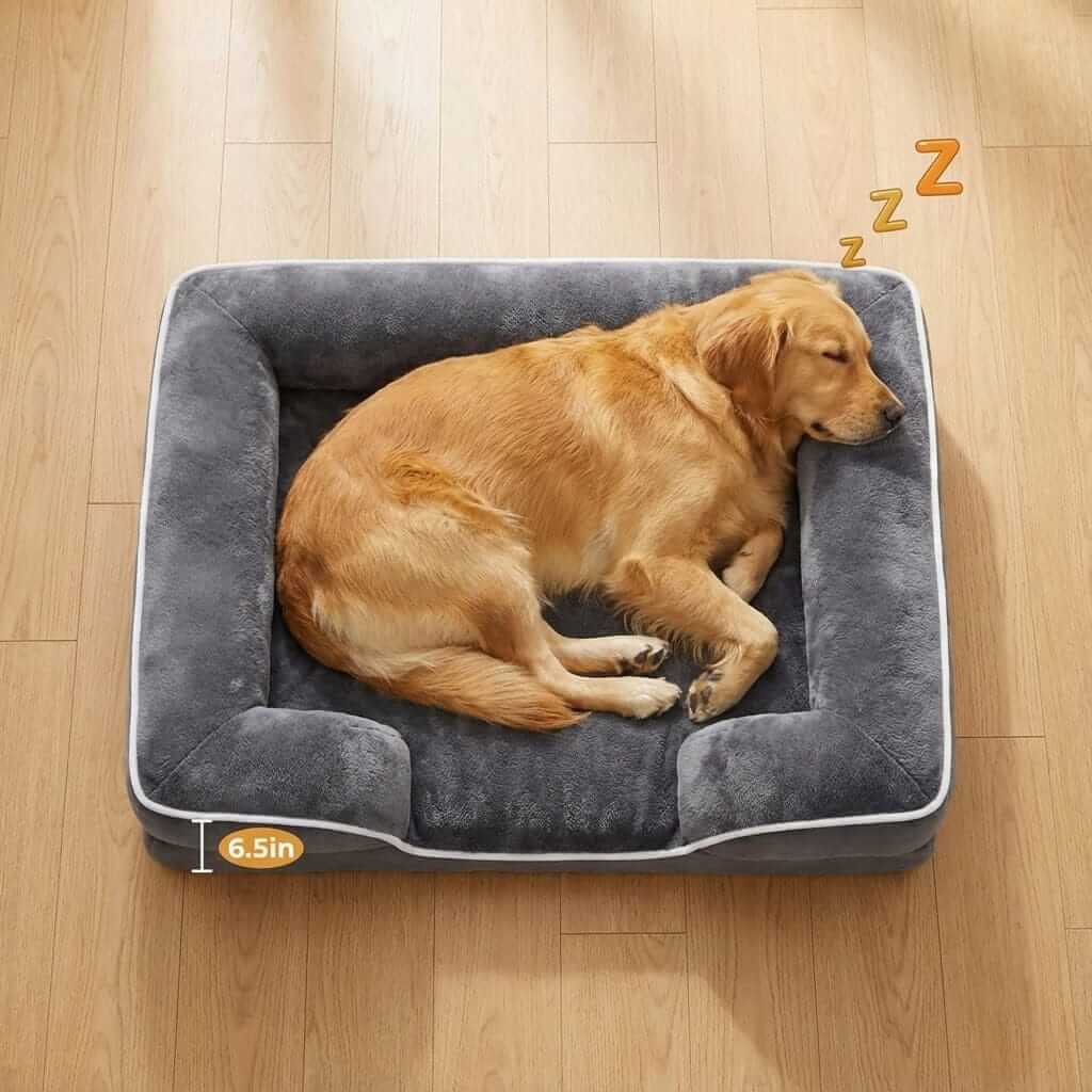 Golden retriever sleeping on a Premium Memory Foam Dog Bed featuring orthopedic support and comfort.