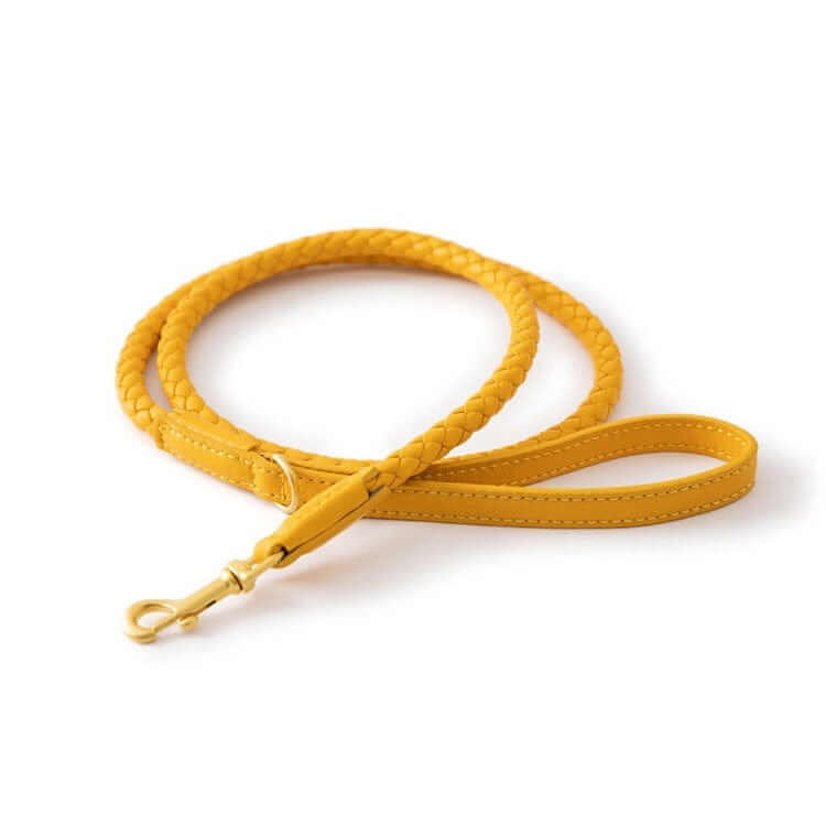 Premium Dog Collar and Leash Set - stylish yellow braided leash for medium & large dogs by Dogs & Cats.