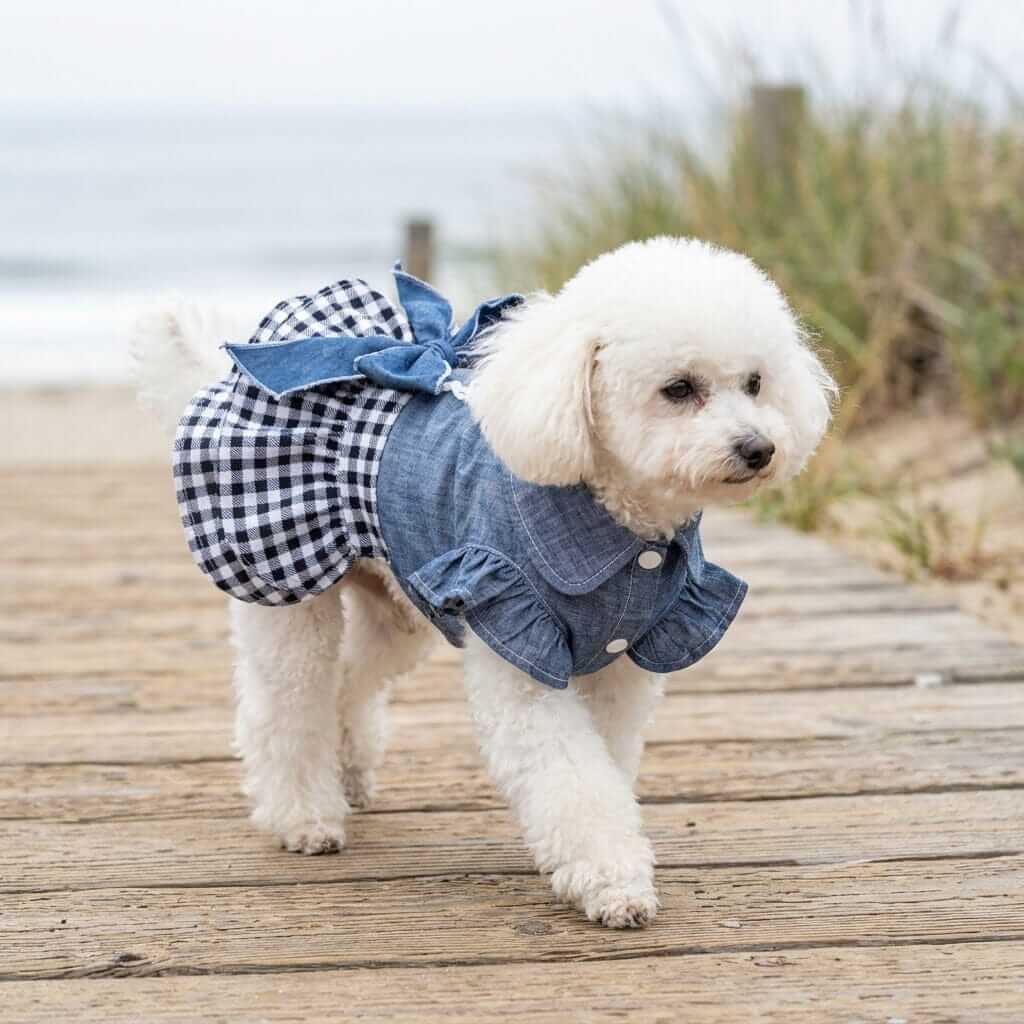 Princess Bow Skirt Teddy Dress for dogs & cats, featuring bowknot, turn-down collar, breathable material.