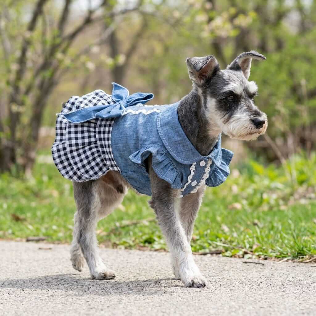 Princess Bow Skirt Teddy Dress for dogs, featuring a turn-down collar, bowknot, and tiered skirt by Dogs & Cats.
