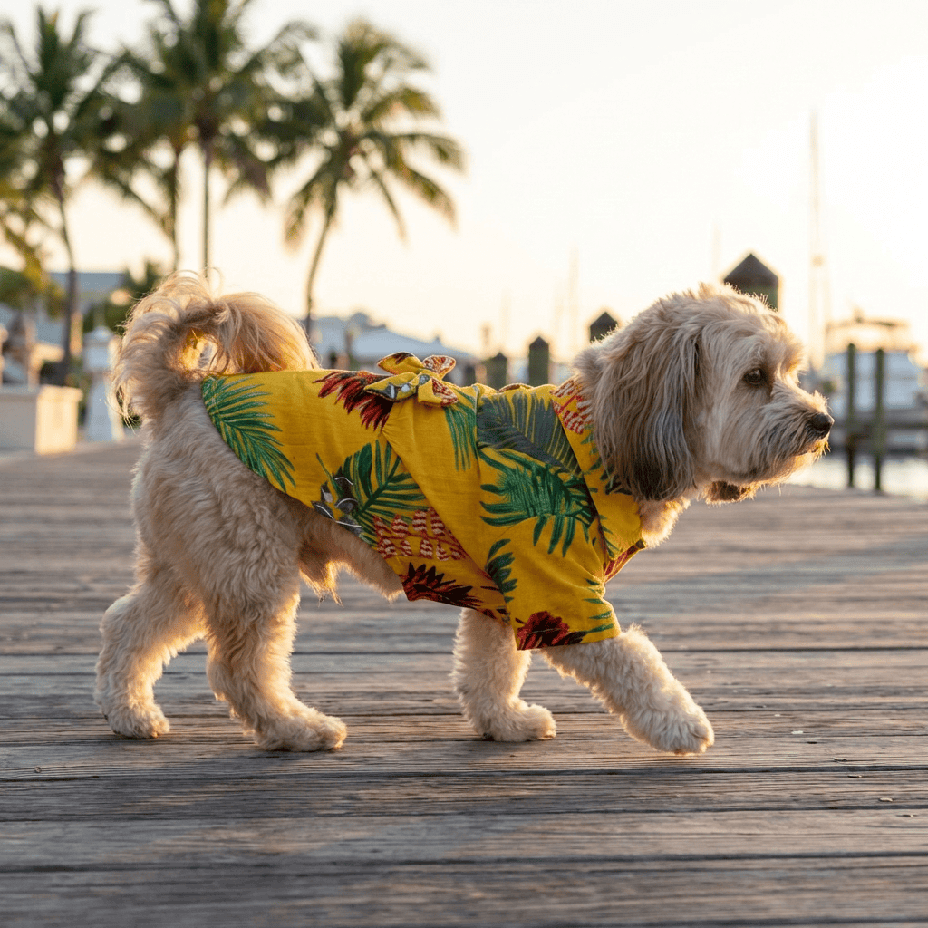 A dog wearing a Printed Hawaiian Dog Shirt with a trendy print, walking along a wooden path in a tropical setting.