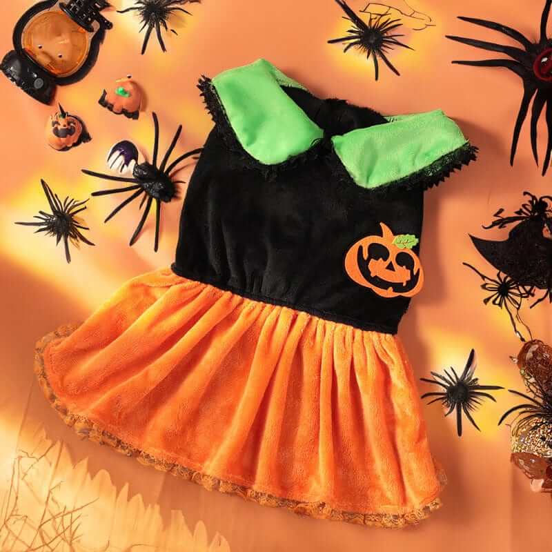 Pumpkin Paws Pet Costume for Dogs & Cats, festive black and orange dress with pumpkin design, perfect for Halloween.