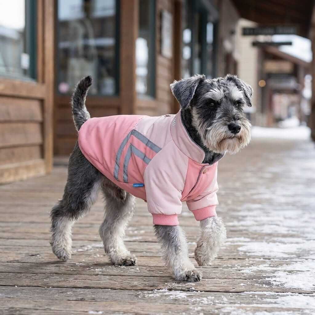 Puppy Reflective Strip Winter Dog Coat on a dog, featuring breathable fabric and lightweight design by Dogs & Cats.