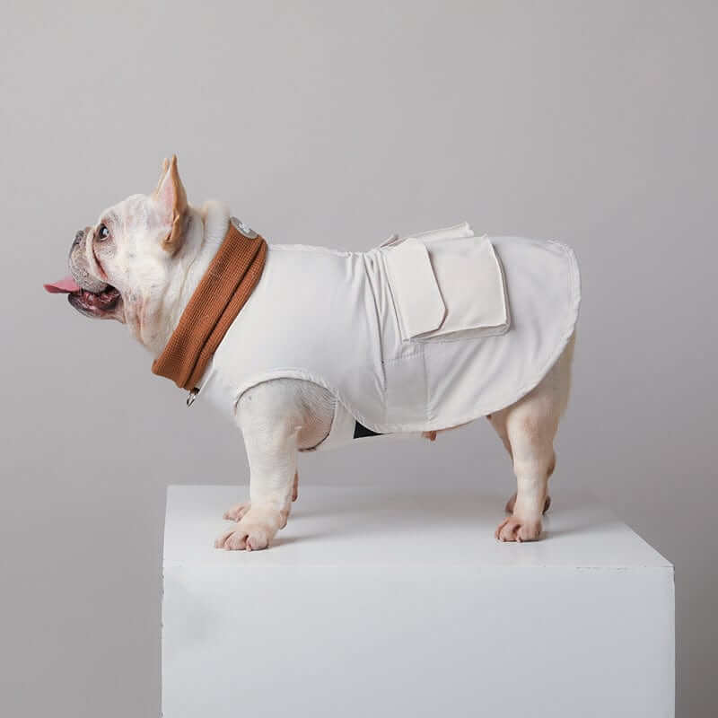 PupShield Waffle Dog Jacket on French Bulldog, featuring windproof and waterproof design for ultimate comfort.