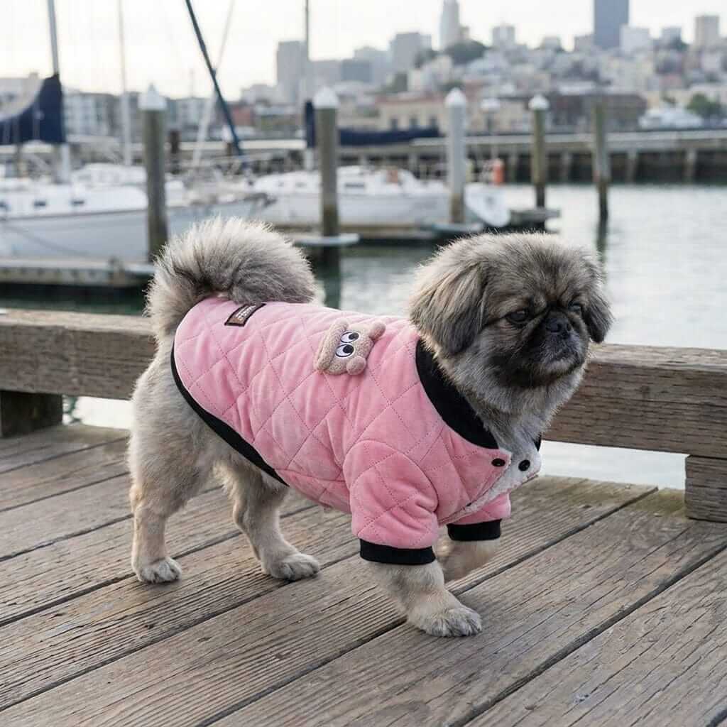 Purfect Touch Quilted Winter Dog Coat on a small dog by the harbor, featuring soft fabric, lightweight design, and a stylish look.