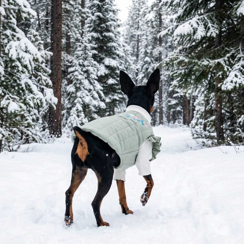 Quilted Embroidered Floral Winter Coat for dogs, features a lightweight design, perfect for winter protection by Dogs & Cats.