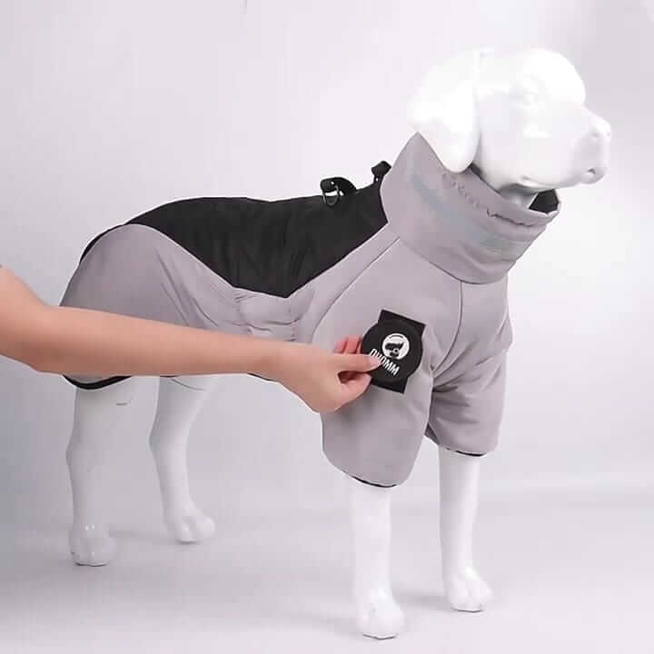 Reflective Dog Winter Jacket on a dog, featuring high-neck design with reflective strips for warmth and visibility.