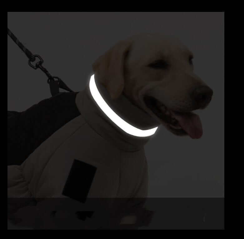 Reflective Dog Winter Jacket on a smiling dog, showcasing reflective strips for visibility during winter walks.