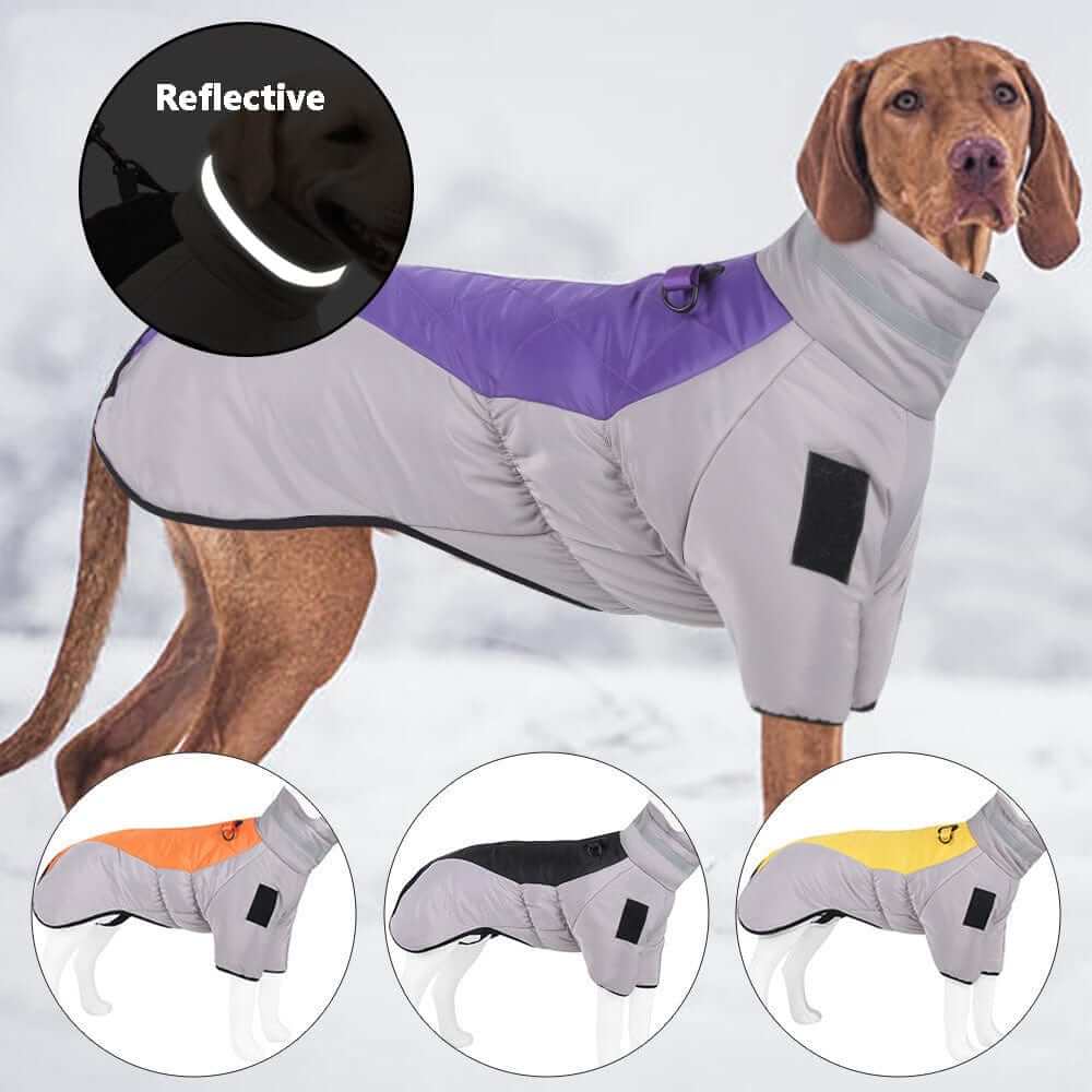 Reflective Dog Winter Jacket featuring high-neck design, reflective strips for visibility, and suitable for medium to large dogs.