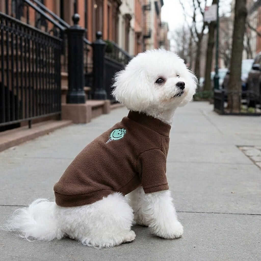 Restaurant Desires Dog Sweater on stylish white dog in brown sweater, featuring soft fabric, round neckline, and short sleeves.