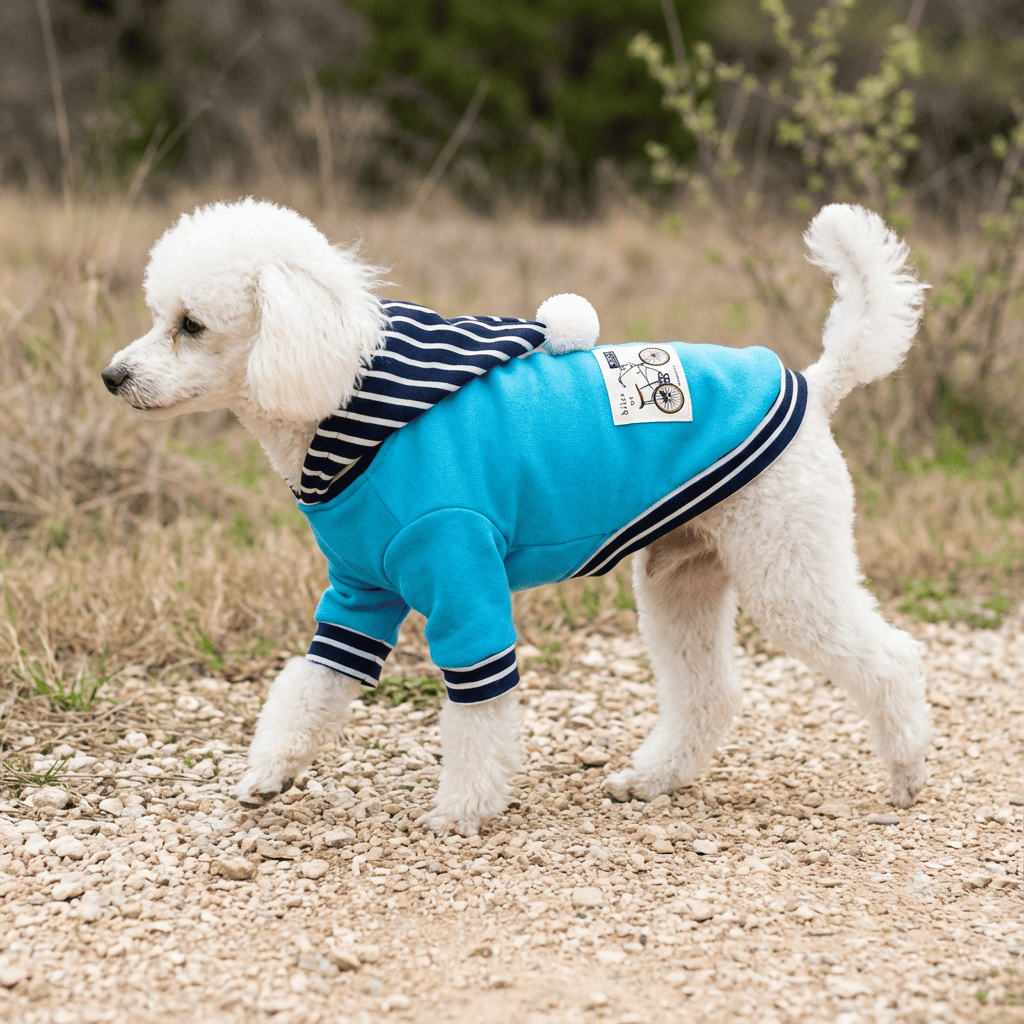 Riding Solo Striped Dog Sweater on a poodle, featuring soft fabric, striped pattern, and comfortable two-legged design.