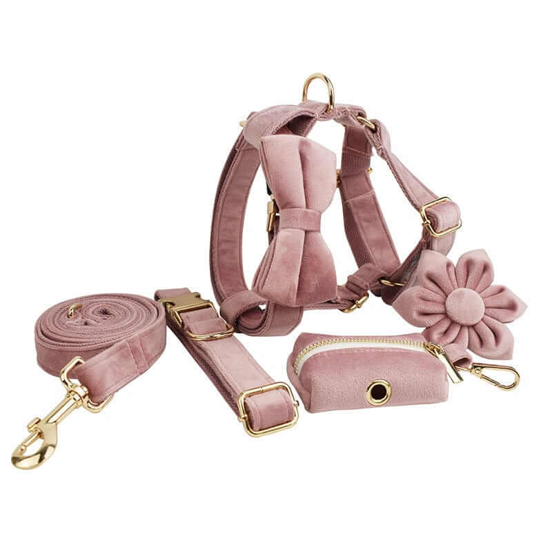 RoyalPaws Velvet Dog Set 6-piece collection with collar, harness, leash, bowknot, flower accessory, and poop bag holder.