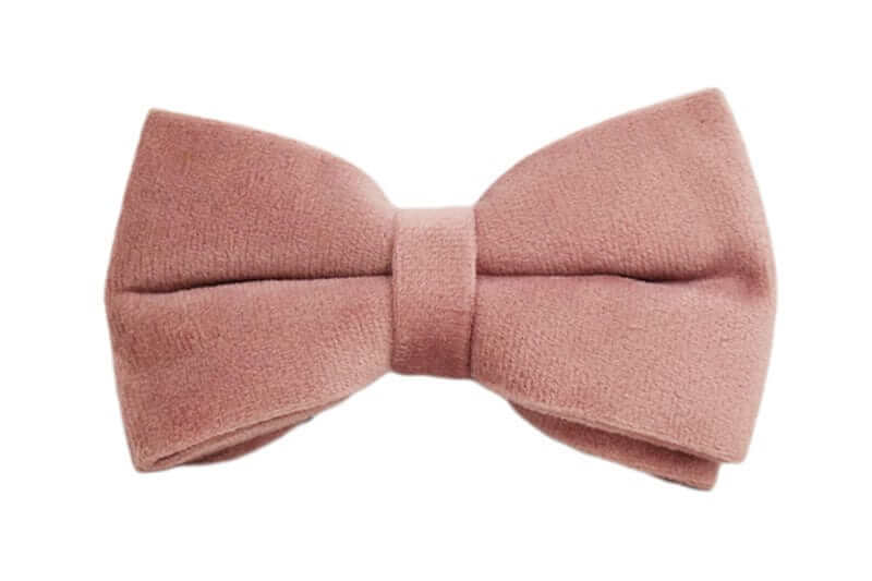 RoyalPaws Velvet Dog Set bowknot accessory for stylish dogs, crafted from soft velvet.