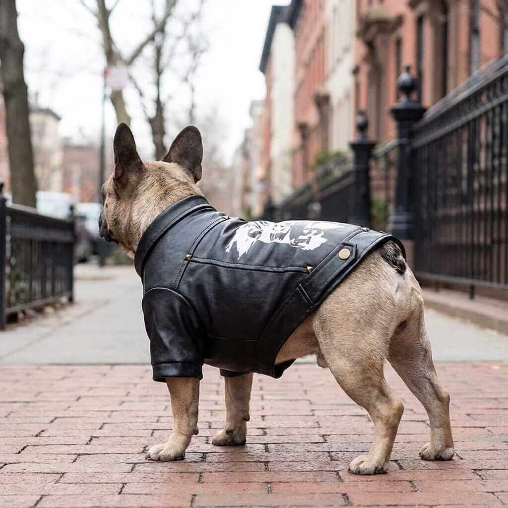 Skate Board 1983 Warm Dog Jacket, stylish and cozy jacket for dogs, perfect for winter and park visits, Dogs & Cats brand.