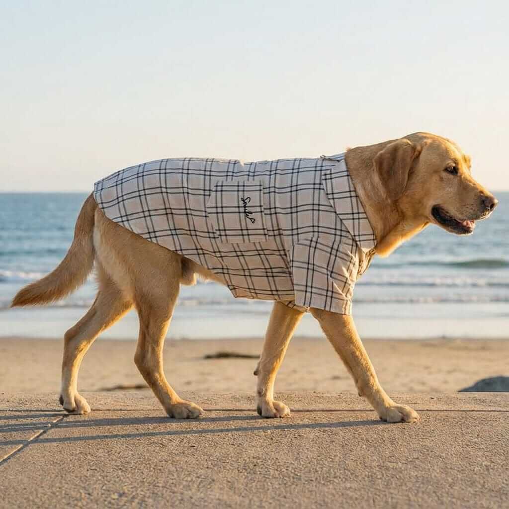 Smile Embroidered Plaid Dog Shirt on a golden retriever walking by the beach in style.