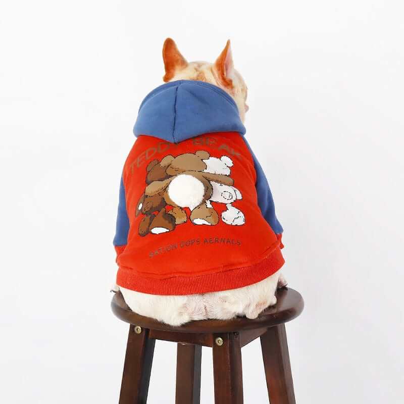 Snuggle Bear Dog Hoodie on a dog, featuring a cute bear design, perfect for small and medium-sized dogs by Dogs & Cats.
