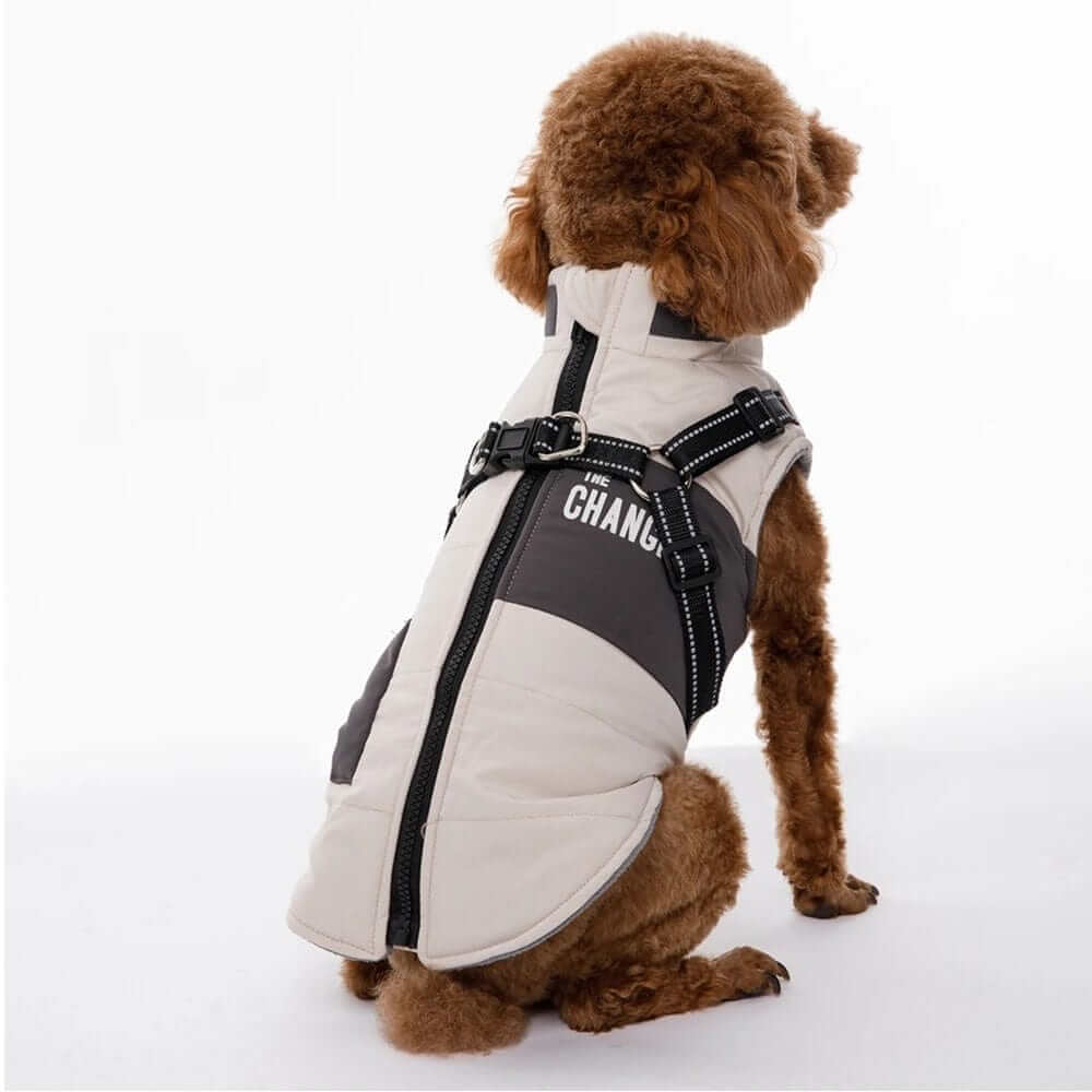 Small dog wearing SnugglePup Fleece Vest with zipper and D-ring for warmth and comfort.