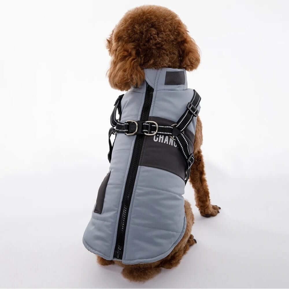 Dog wearing SnugglePup Fleece Vest, a stylish and warm vest for small dogs and cats, featuring a zipper and D-ring.