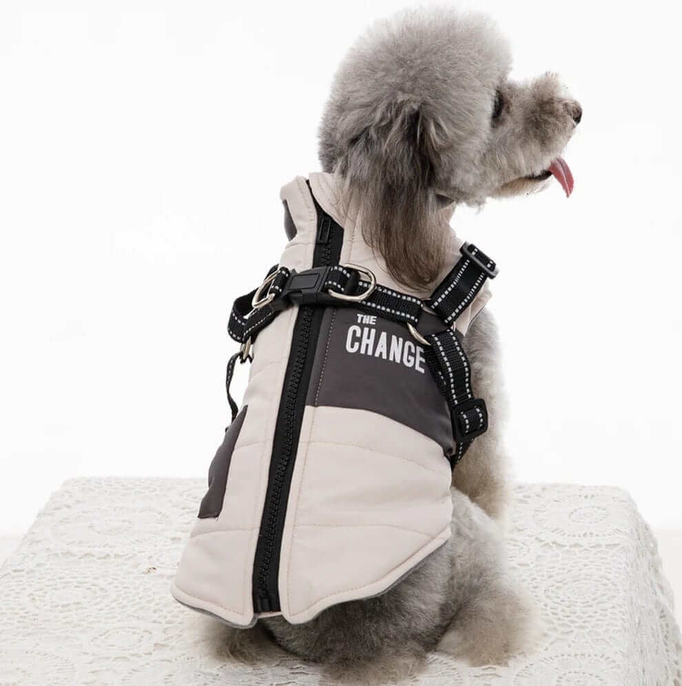 SnugglePup Fleece Vest for small dogs and cats, soft fleece with zipper, D-ring, warm and stylish for winter.