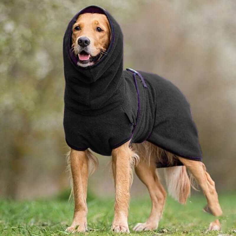 SnugPaws Winter Dog Coat on a dog, featuring a hood, fleece lining, perfect for Greyhounds and Whippets by Dogs & Cats.
