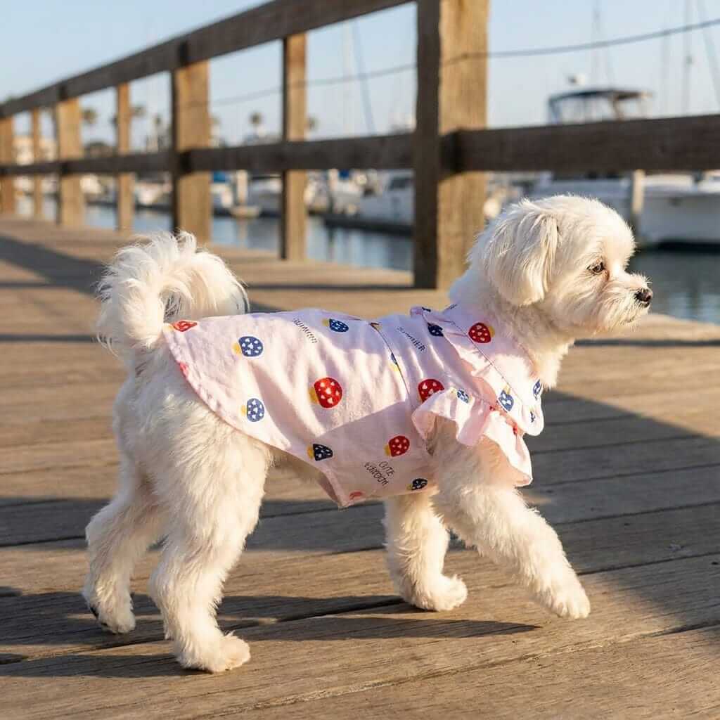 So Lovely Lightweight Shirt Dress for Dogs & Cats - Cute design, breathable fabric, perfect for sunny days.