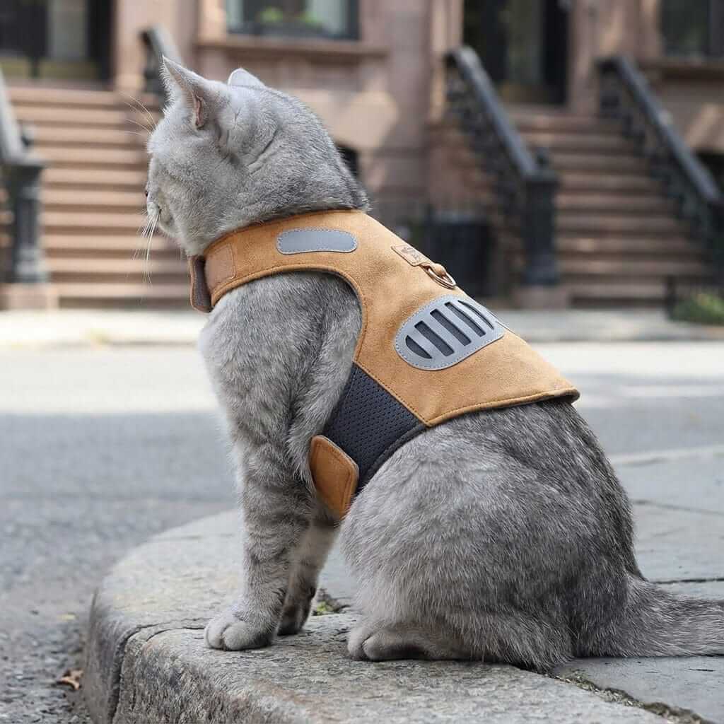 Soft Suede Harness Traction Rope on a cat, featuring soft padding and reflective accents for comfort and visibility.