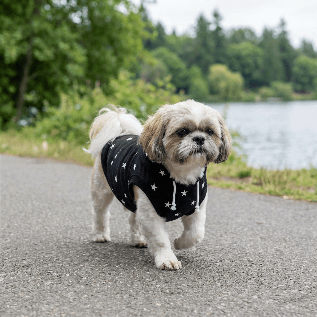 Cute dog wearing a Star Printed Dog Hoodie by Dogs & Cats, featuring a stylish star print and comfy fabric.