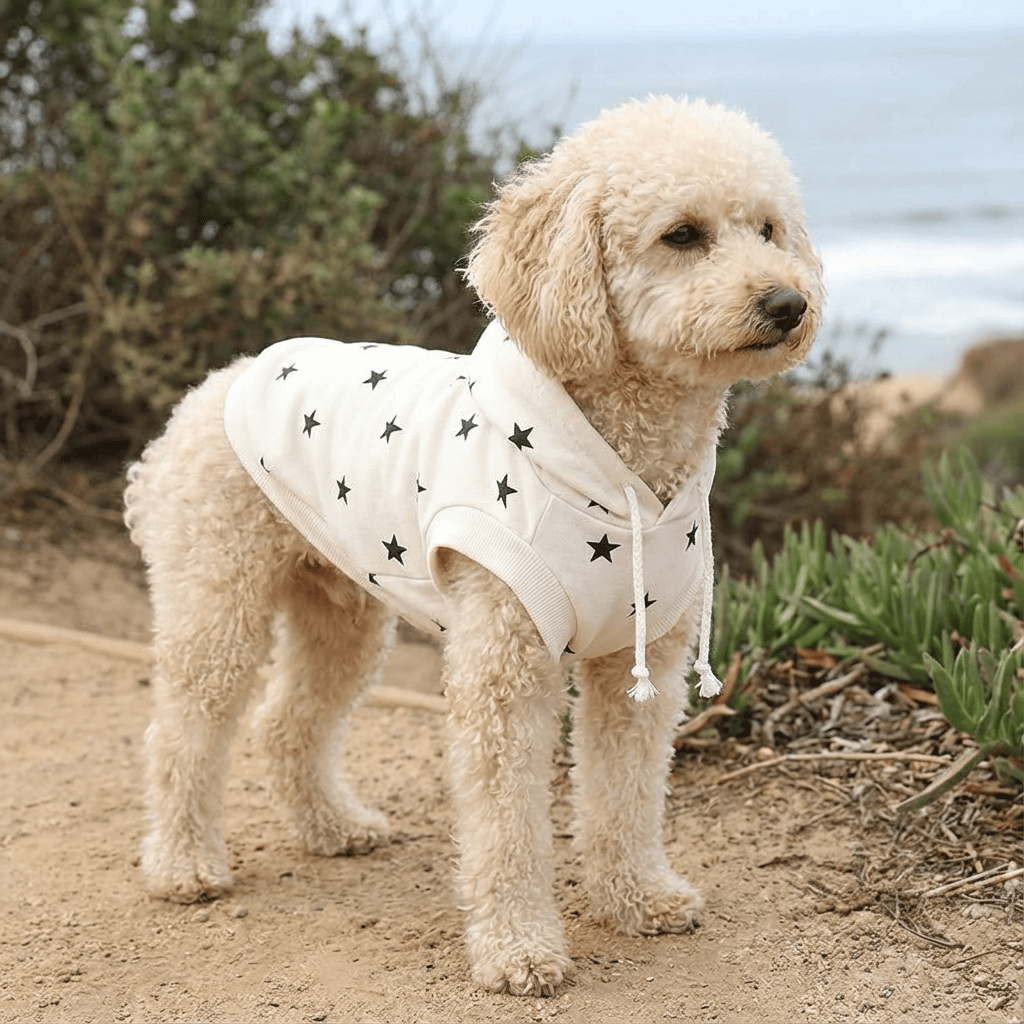 Star Printed Dog Hoodie, a stylish and comfy dog hoodie featuring a star pattern, perfect for dogs and cats by Dogs & Cats.