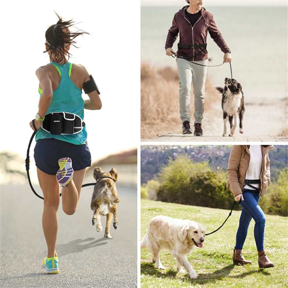 StridePro Hands-Free Dog Leash featuring free movement and dual shock-absorbing bungees for dogs & cats.