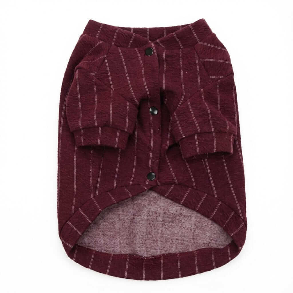 Striped Baseball Dog Jacket - stylish and cozy dog jacket featuring soft fabric for adventures by Dogs & Cats.