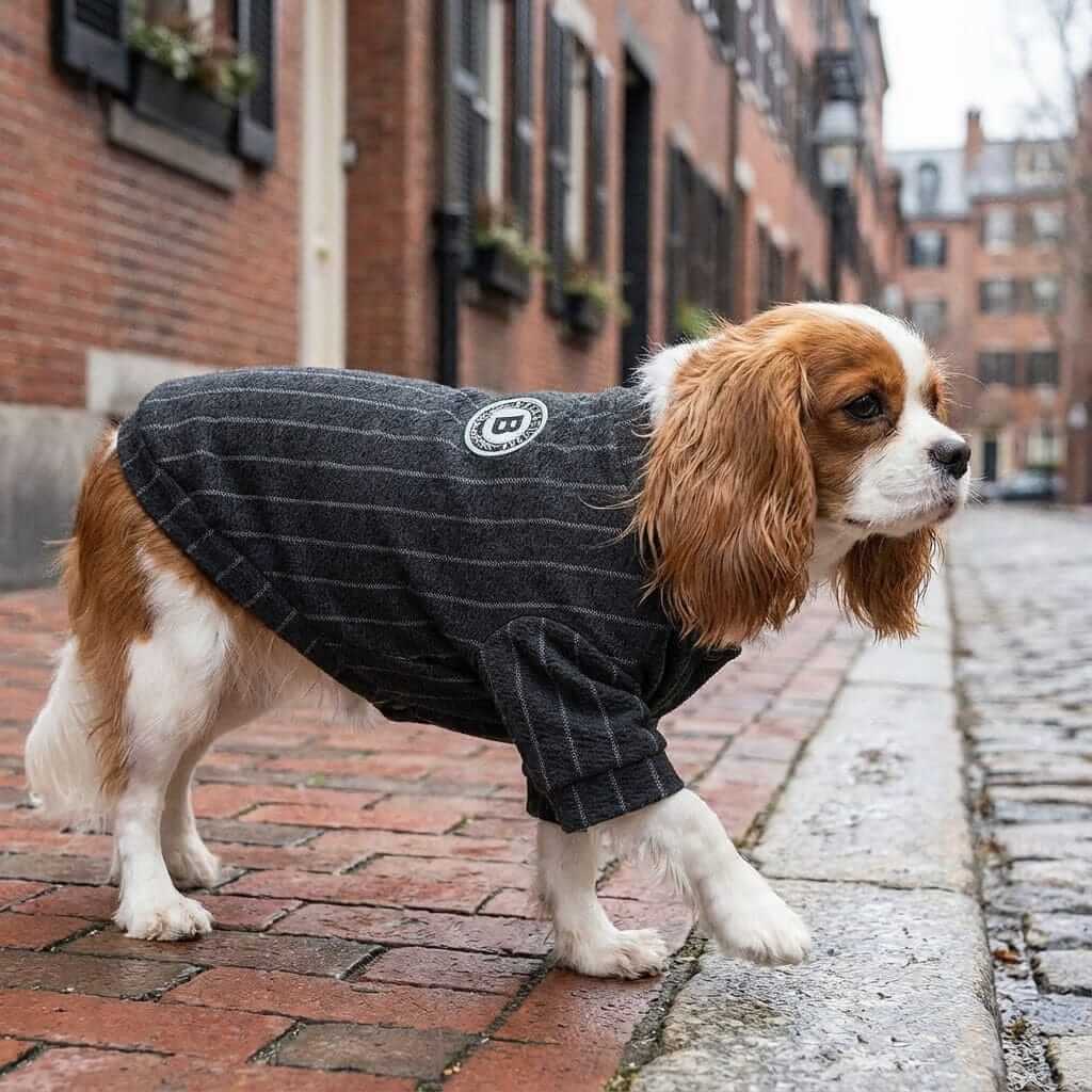 Striped Baseball Dog Jacket - cozy dog jacket for dogs & cats, timeless style for adventures.