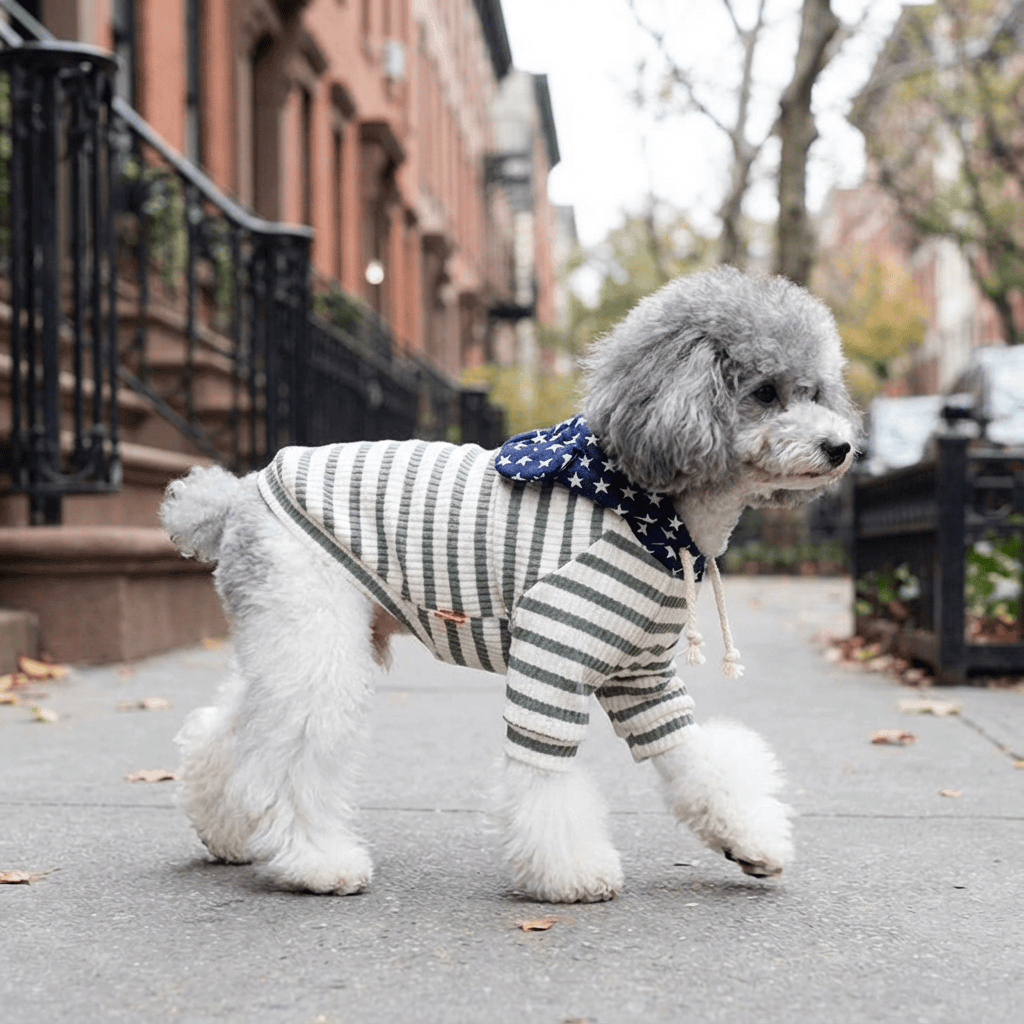 Striped Small Dog Sweater worn by a dog, features breathable cotton, round neckline, and short sleeves, ideal for cool weather.