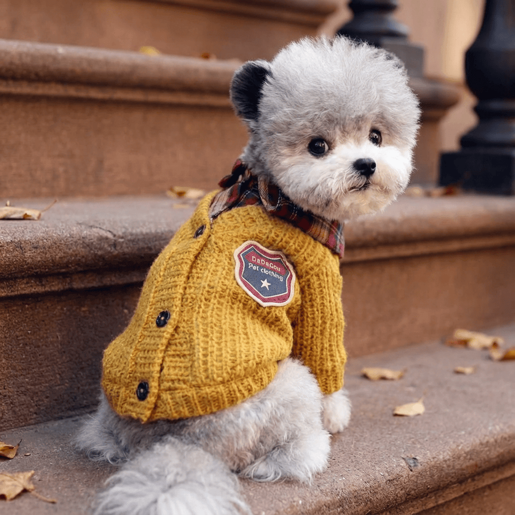 Super Soft Fashionable Dog Sweater for Dogs & Cats, featuring a classic design, soft material, and stylish warmth.