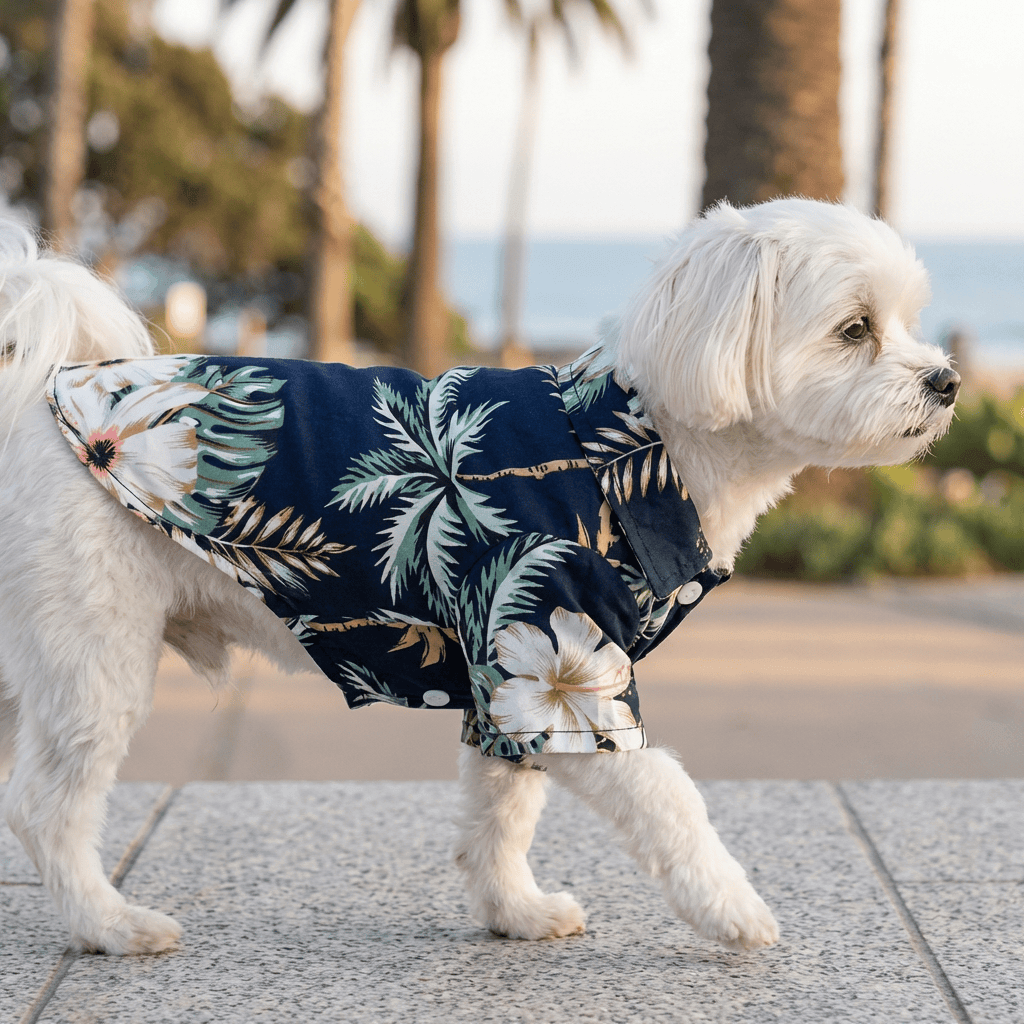 Teddy Hawaiian Small Dog Shirt on a small dog, featuring a tropical print, perfect for summer outings, by Dogs & Cats brand.