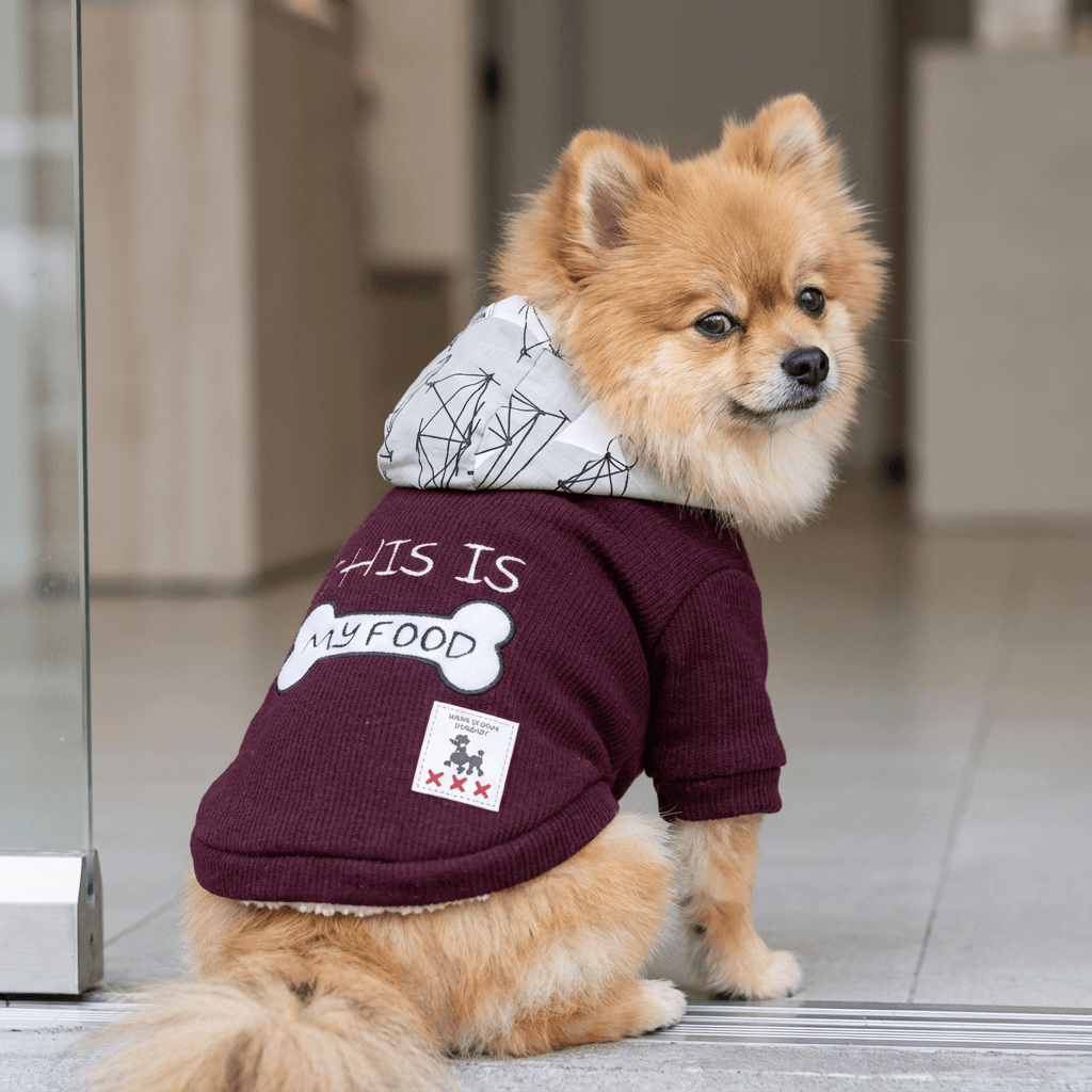 This Is My Food Dog Hoodie on a Pomeranian, stylish fleece hoodie, perfect for dogs and cats, keeps pets warm and comfy.