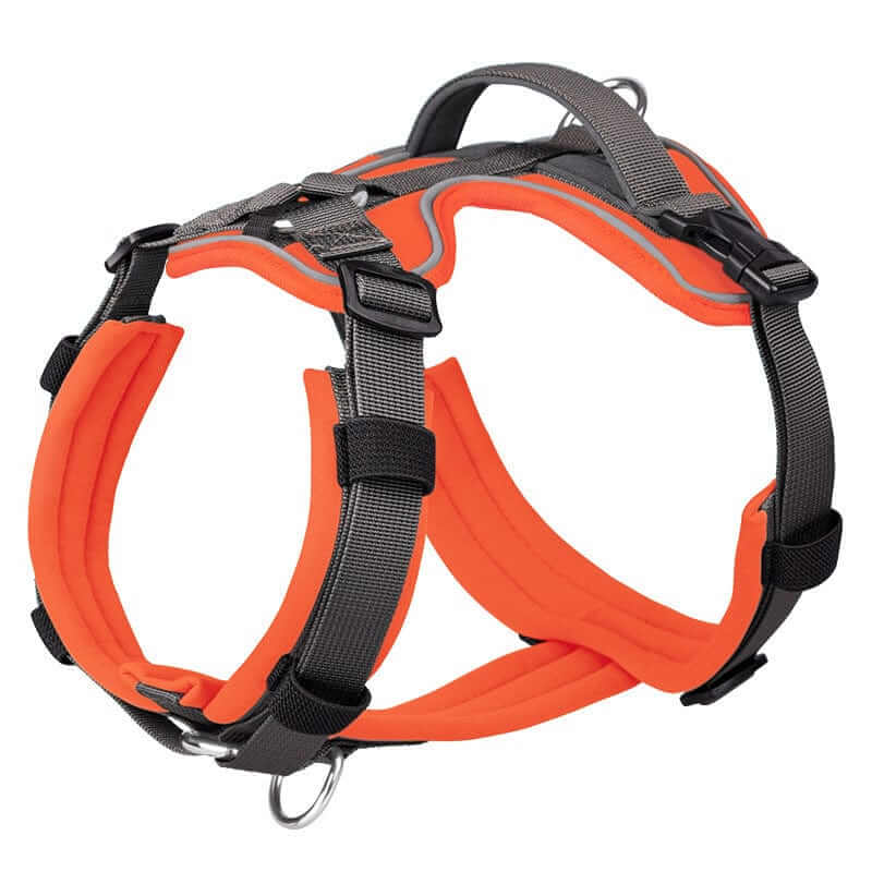 Ultimate Reflective No-Pull Dog Harness, no-pull design, high visibility, comfortable fit, Dogs & Cats brand.