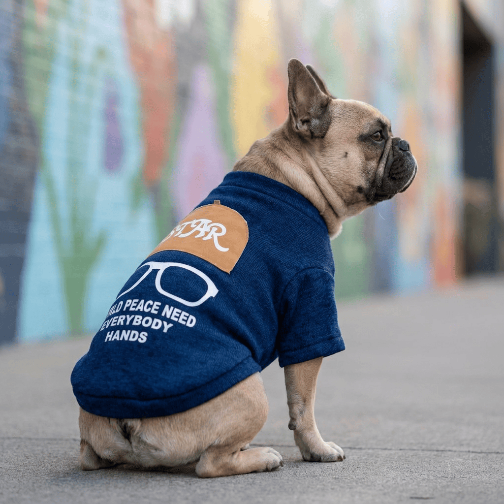Unique Printed Knitted Pet Sweatshirt on a French Bulldog, stylish and perfect for dogs and cats, casual everyday wear.