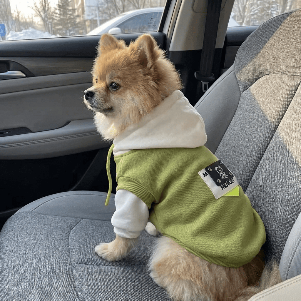 Urban Cozy Dog Hoodie in green, fleece-lined for Dogs & Cats, perfect for warmth and style.