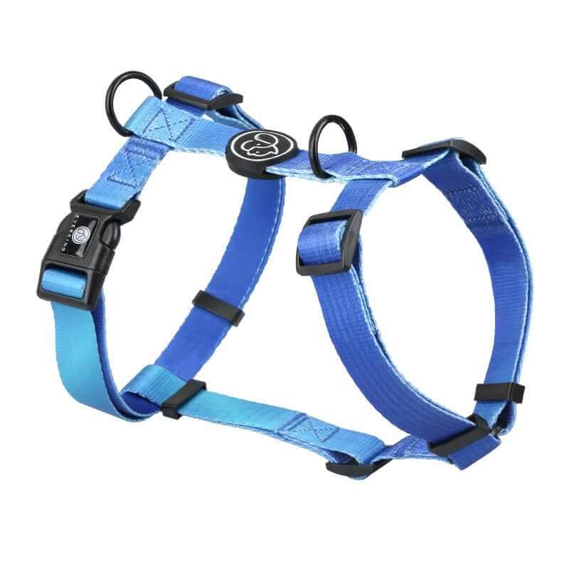 Vibrant Gradient Dog Harness, harness type, gradient design, durable materials by Dogs & Cats brand