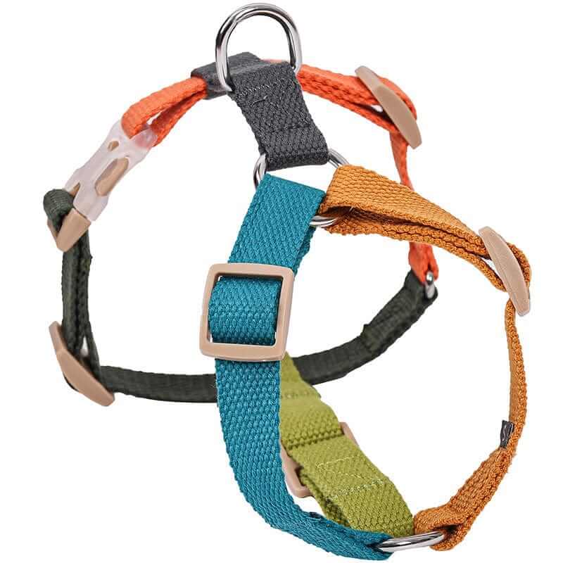 Vibrant H-Shaped Pet Harness designed for dogs and cats, featuring a secure fit with bright colors.