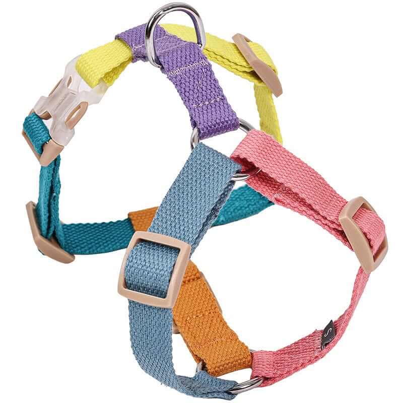 Vibrant H-Shaped Pet Harness for Dogs & Cats, bright colors, comfortable fit, outdoor adventures