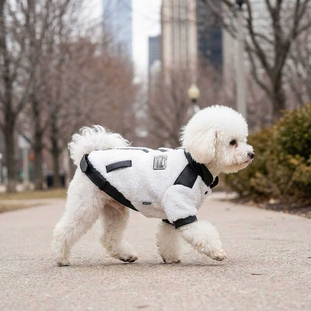 Warm And Fuzzy Winter Dog Jacket on a white dog walking outdoors, featuring breathable fabric and trendy design.