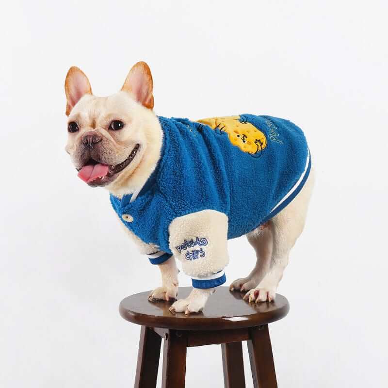 Warm Dog Baseball Jacket on a French Bulldog, featuring cozy materials and stylish baseball design by Dogs & Cats.