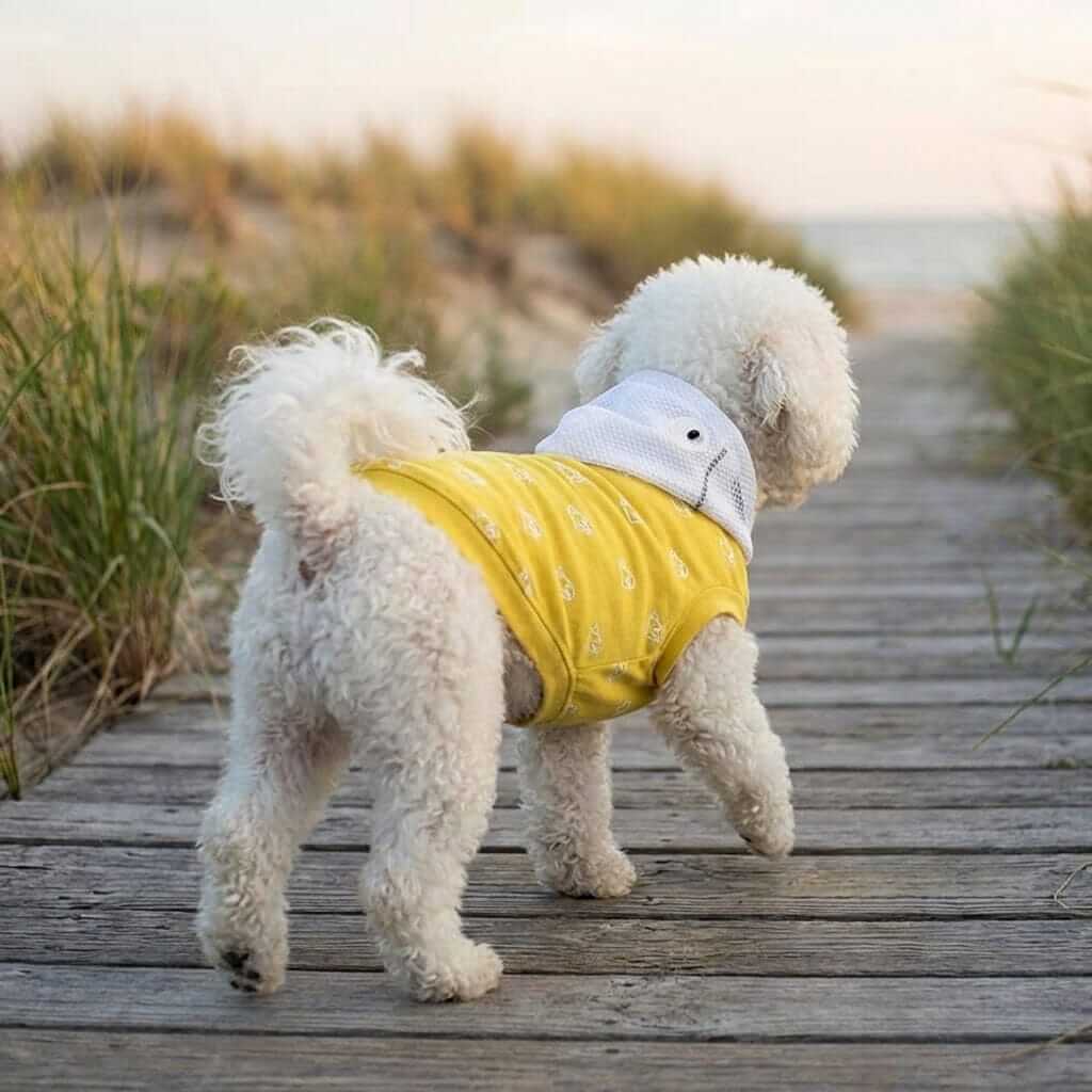 Warm Sleeveless Dog Hoodie for comfortable warmth, featuring a stylish design, ideal for Dogs & Cats.
